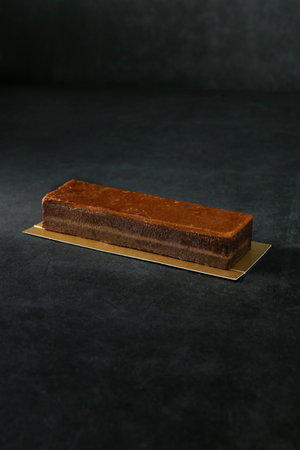 Salted Butterscotch Chocolate Brownie isolated on dark background top view of baked item dessert