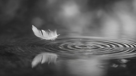 feather on water background, black and white photo, soft focusの素材