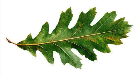 3D rendering of colorful toy cubes forming the word ABC on white backgroundの素材