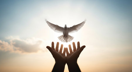 Silhouette of hands holding white dove on sunset sky background.の素材