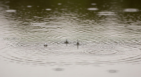 Water droplets on the surface of the water. Shallow depth of field.の素材