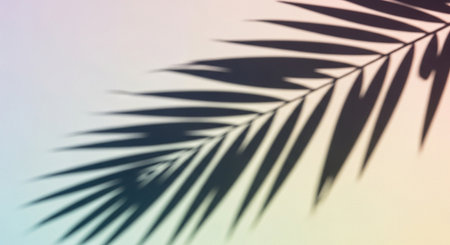 Palm leaf shadow on gradient background. Copy space for text.の素材