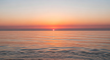 Road in the middle of the desert at sunset. Panorama.の素材