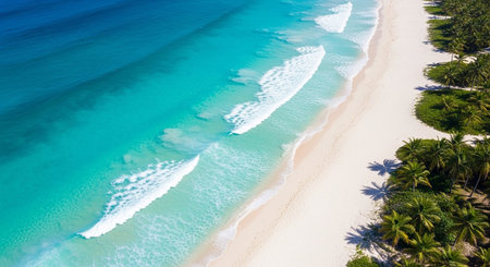 Aerial view of beautiful tropical beach with white sand and turquoise waterの素材