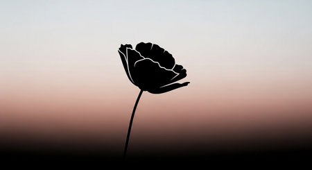 Silhouette of poppy flower on the background of the sunset.の素材