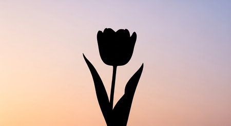 Silhouette of a tulip flower on the background of the setting sun.の素材