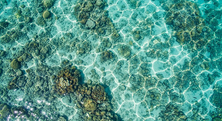 Aerial view of coral reef and sea water. Seascape backgroundの素材