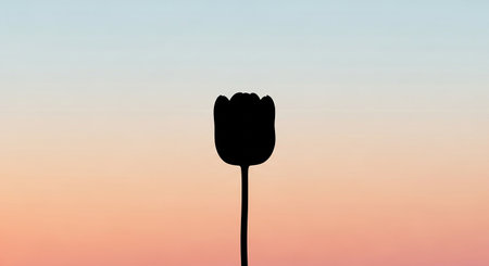 Silhouette of a tulip on a background of the sunsetの素材