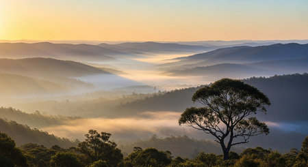 Red panda (Ailurus fulgens) on treeの素材