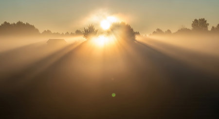 Foggy morning in the countryside. Landscape with fog and sunbeams.の素材