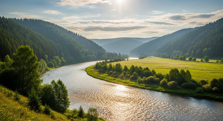 Panoramic view of the river in the Carpathian mountainsの素材