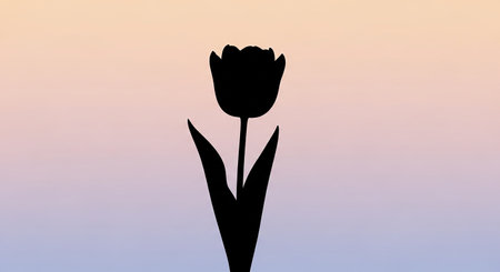 Silhouette of a tulip against the background of the setting sunの素材