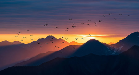 Sunset over the Himalayas with a flock of birds.の素材