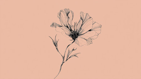 poppy flower on a pink background, monochrome, illustrationの素材