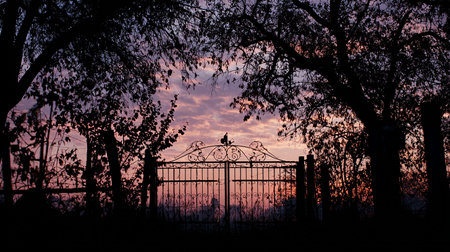 Silhouette of a wrought iron gate at sunset with a bird on it.の素材