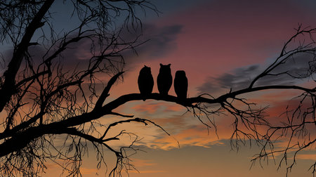 Silhouette of three owls sitting on a tree branch at sunsetの素材