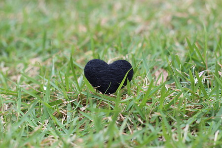 black heart on the fieldの写真素材