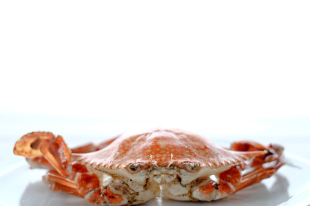 seafood of Grilled on wooden table at the beachの写真素材