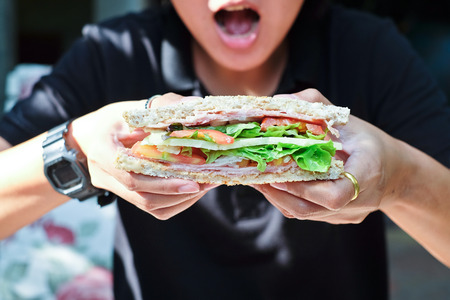 Sandwich ready to eat  ingredients of ham, tomato, lettuce and cheeseの写真素材