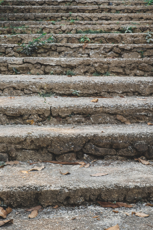 Stone staircase leading up a walkway through the Black Forest