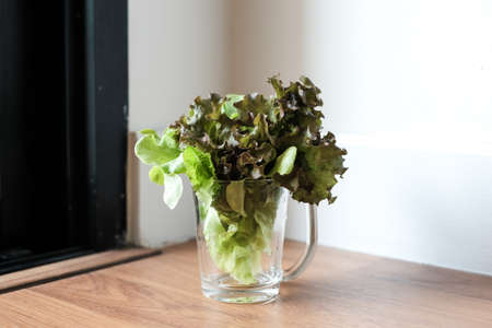 Variety of raw green vegetables salads, Food preparation in the kitchenの写真素材