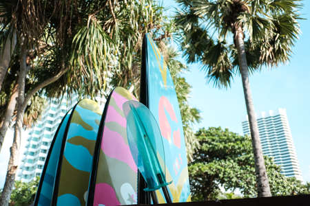 Pattaya,Thailand - November 4, 2021 : Sup board, many different sup boards on the beach, water sport, happy active summer vacationのeditorial素材