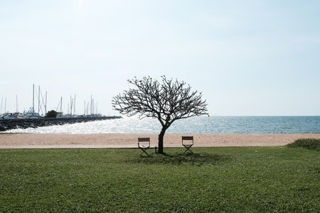 romantic tropical beach with tree and two chairs on sandの写真素材