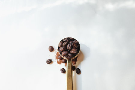 Coffee beans in spoon and instant coffee powder with Light and shadow from the window in the morning, selective focus.の写真素材