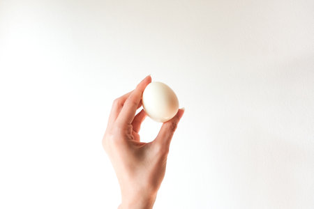 Female hand hold boiled egg on white background.の写真素材