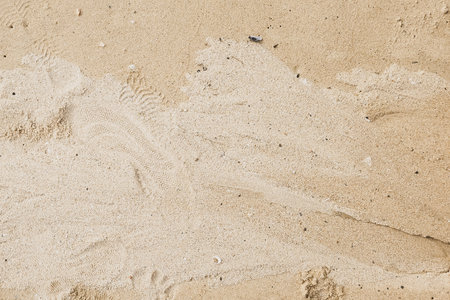 Sand textured ground for background, dirty background.の写真素材