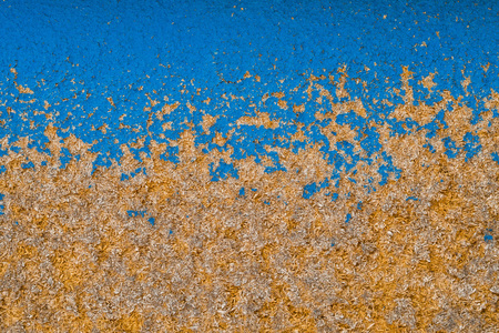 wood background textureの写真素材