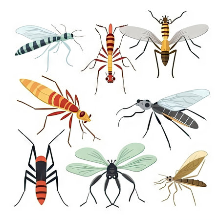 closeup Mosquitoesの素材