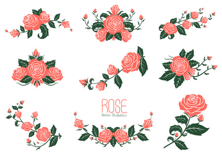 Pink rose Collection, vector illustrationのイラスト素材