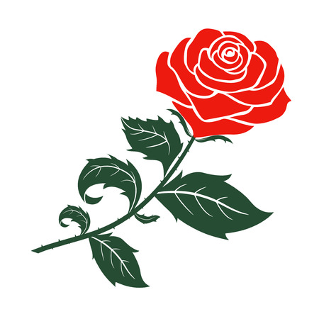 red rose design,vector  illustrationのイラスト素材