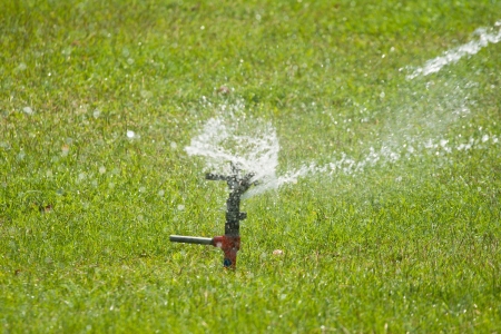 Sprinkler water grass in the parkの写真素材
