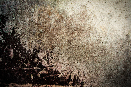 Dirty fungi on cement background like borderの写真素材