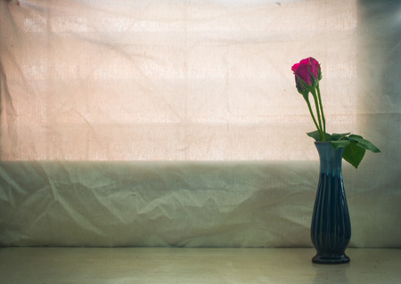 still life Pink rose in vase  in warming day , concept good or fresh , refreshの写真素材
