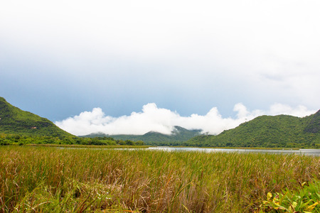 Mountain with papirus landscape view in the morningの写真素材