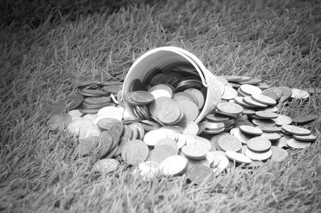 coin in bucket on grass background concept saving moneyの写真素材
