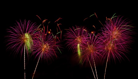 beautiful multicolor of firework in nightの写真素材