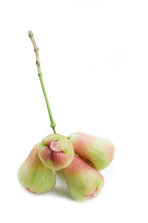 Rose apples or chomphu isolated on white backgroundの写真素材