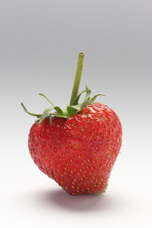 a fresh strawberry on white backgroundの写真素材