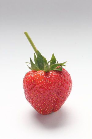 a fresh strawberry on white backgroundの写真素材