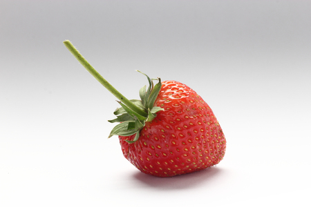 a fresh strawberry on white backgroundの写真素材