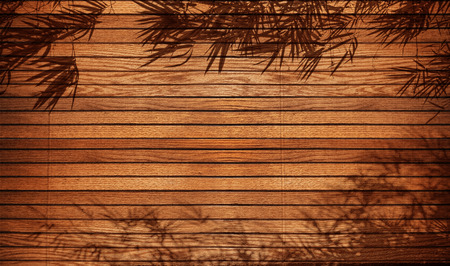 wood background   frame with bamboo shadowの写真素材