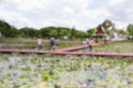 Lotus garden on the bright blue color of lotus makes the atmosphere very goodの写真素材