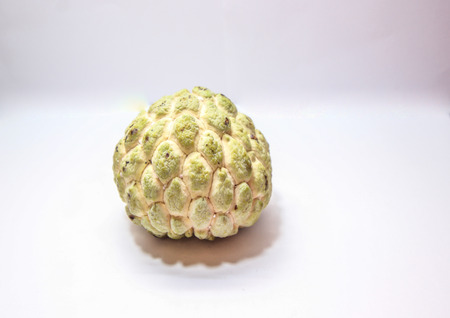 custard apple on white backgroundの写真素材
