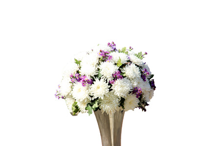 Flowers in white background decorationの写真素材