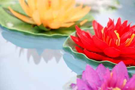 Artificial lotus flowers in various colors floating on the water surface with beautiful reflectionの写真素材