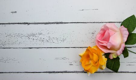 leaf on white wood pattern backgroundの写真素材